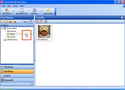 Drag and drop to reorganize photos
